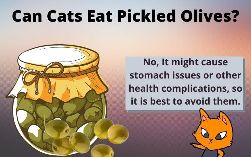 Can Cats Eat Pickled Olives