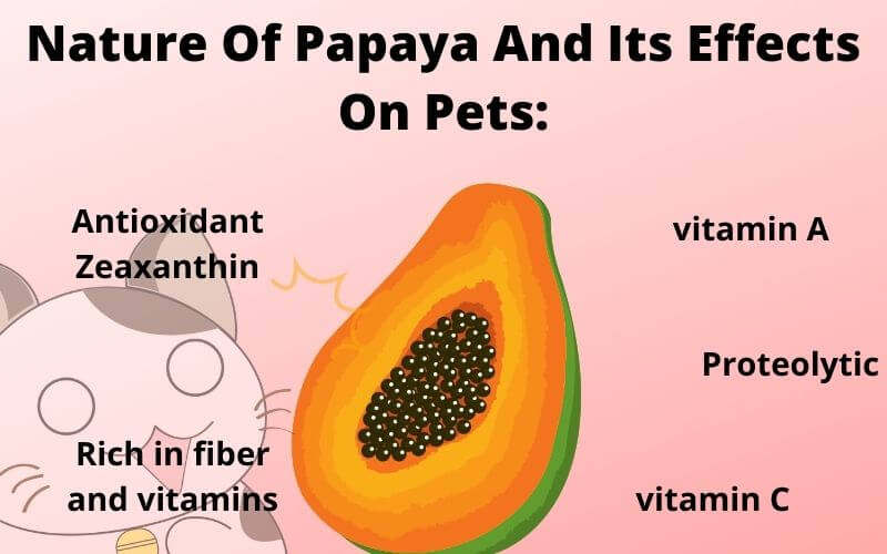 Nature Of Papaya And Its Effects On Pets