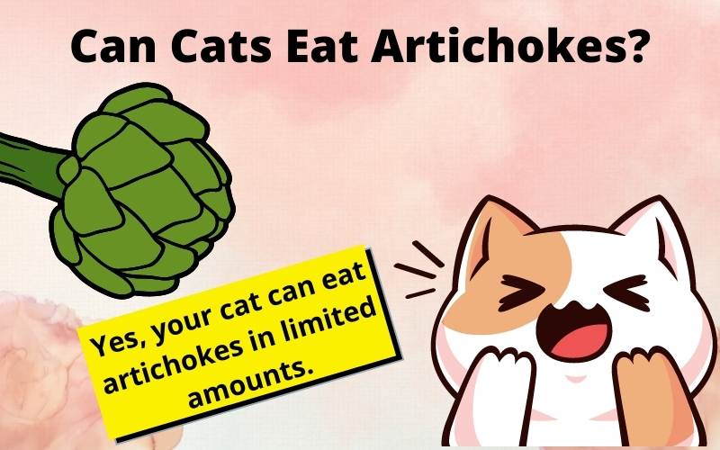 Can Cats Eat Artichokes