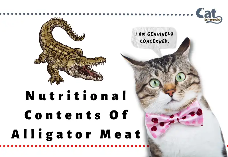 Nutritional Contents Of Alligator Meat