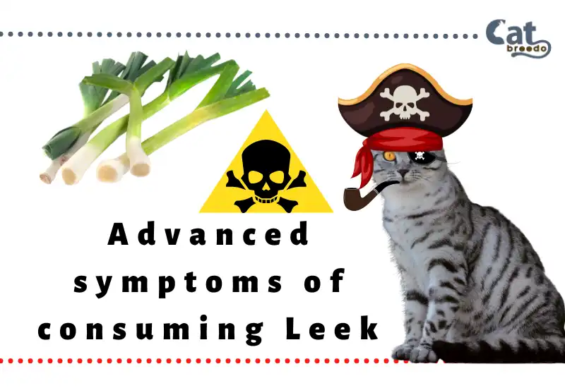 Advanced Symptoms of Consuming Leek