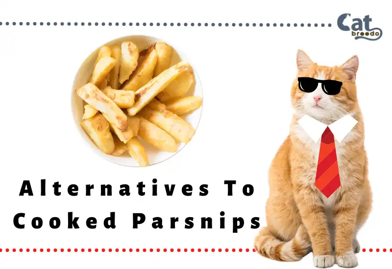 Alternatives To Cooked Parsnips