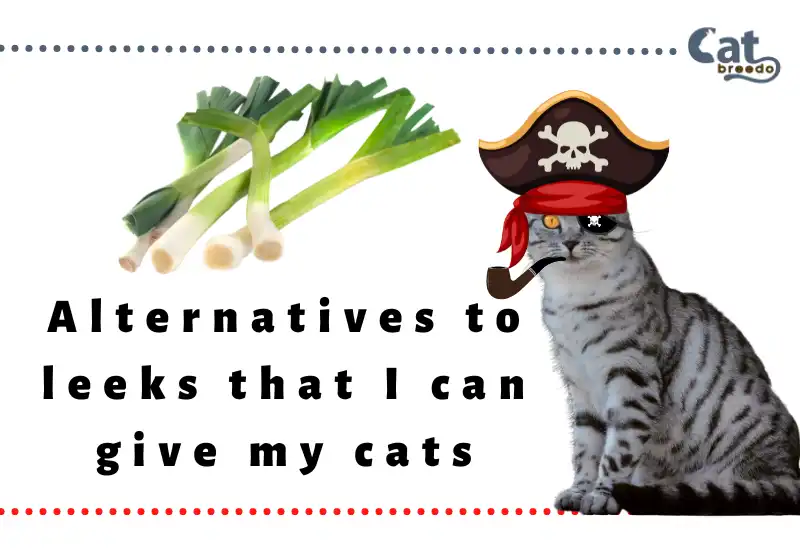 Alternatives to Leeks that I Can Give my Cats