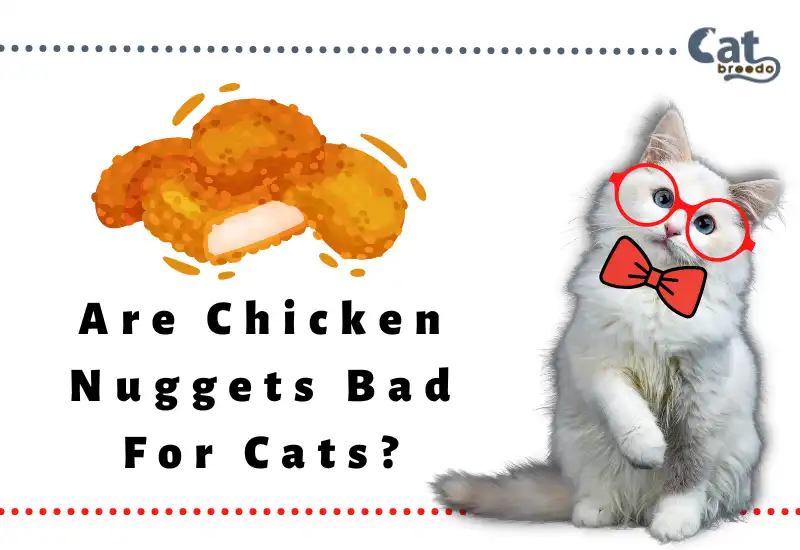 Are Chicken Nuggets Bad For Cats