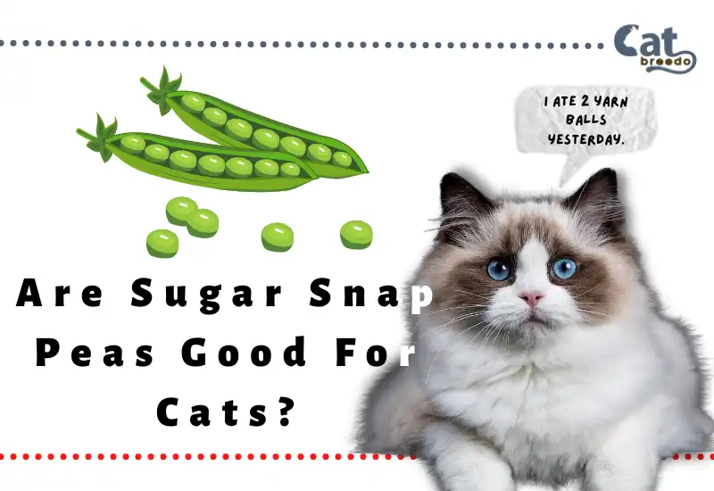 Are Sugar Snap Peas Good For Cats