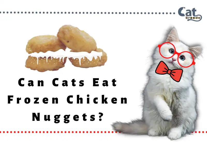 Can Cats Eat Frozen Chicken Nuggets