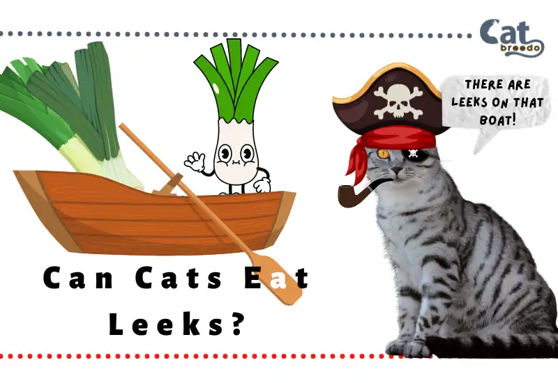 Can Cats Eat Leeks