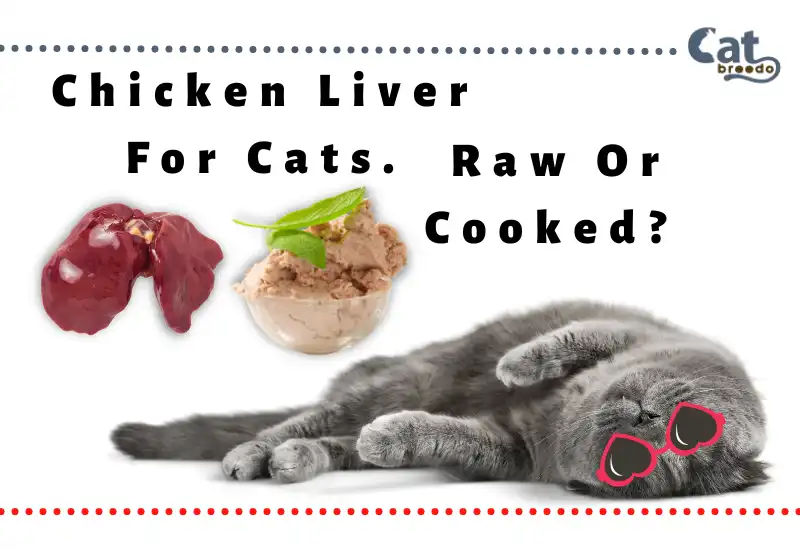 Chicken Liver For Cats Raw Or Cooked