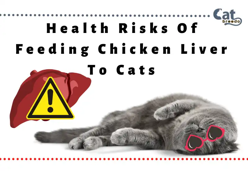 Health Risks Of Feeding Chicken Liver To Cats