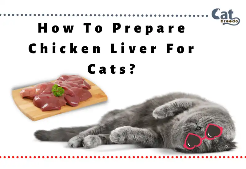 How To Prepare Chicken Liver For Cats