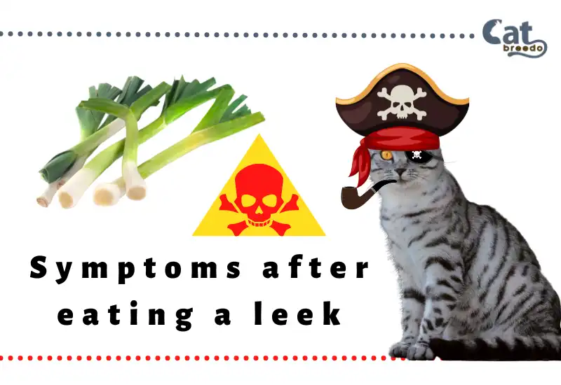 Symptoms after eating a leek